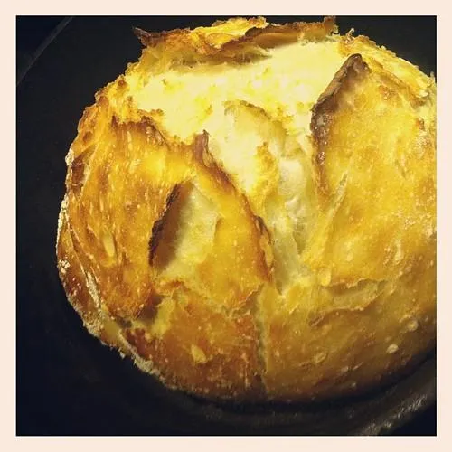 A golden crusty loaf baked in a cast iron Dutch oven