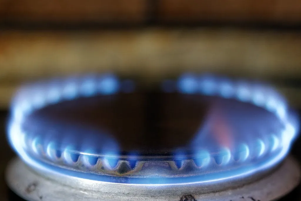 A blue gas flame on a kitchen burner